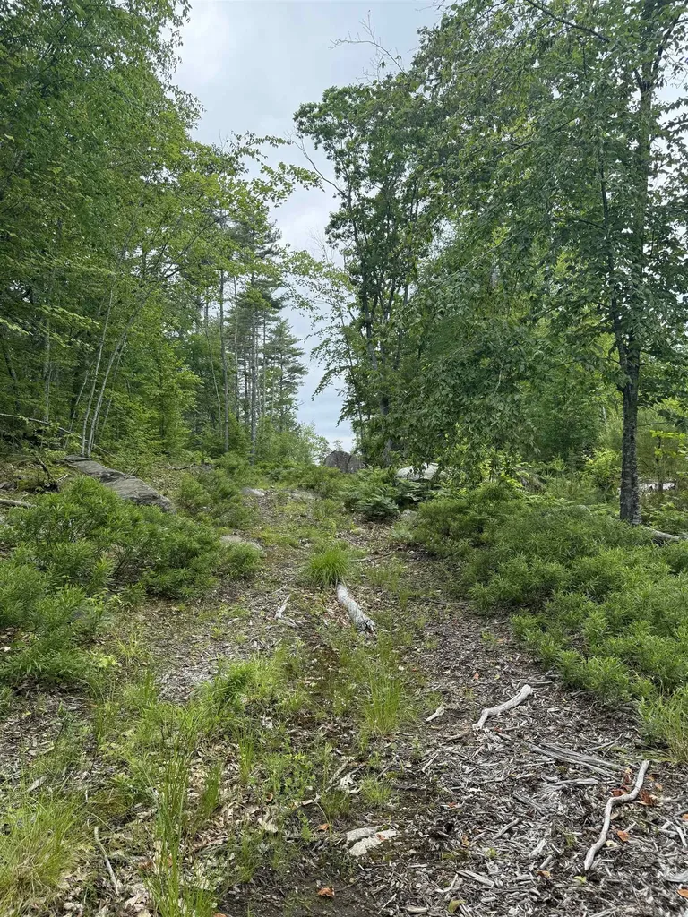 217-13 Washington Street Barrington NH 03825