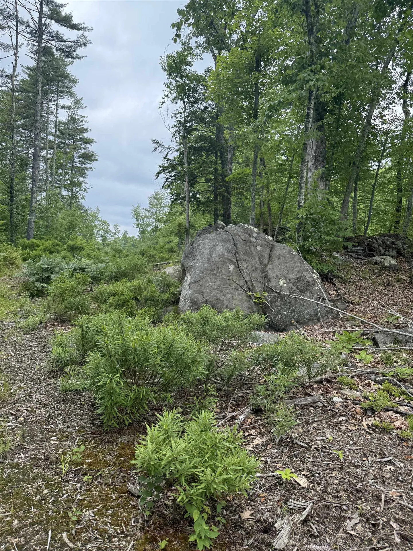 217-13 Washington Street Barrington NH 03825