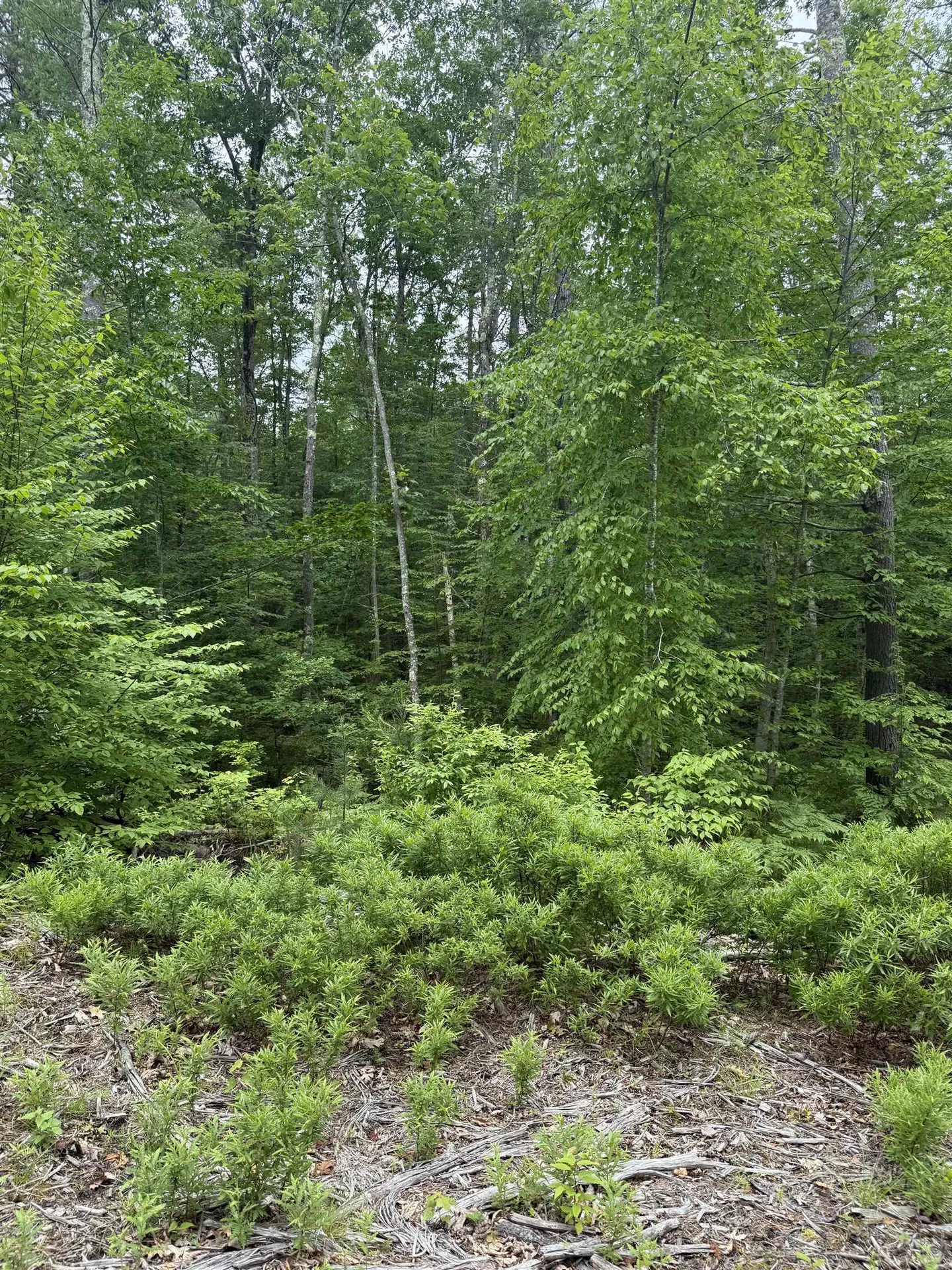 217-13 Washington Street Barrington NH 03825