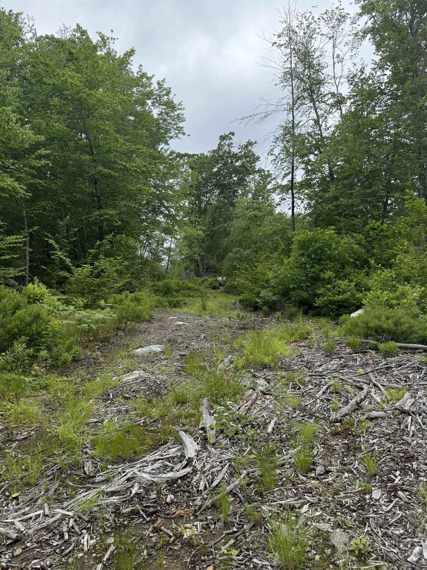 217-13 Washington Street Barrington NH 03825