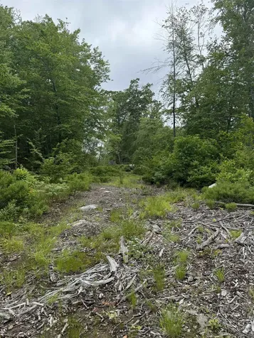 217-13 Washington Street Barrington NH 03825