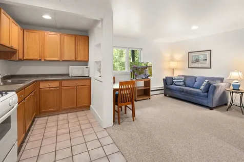 217 Wood Road Stowe VT 05672