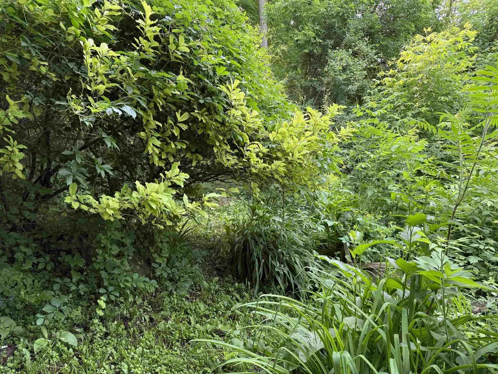 53 High Street Middlebury VT 05753