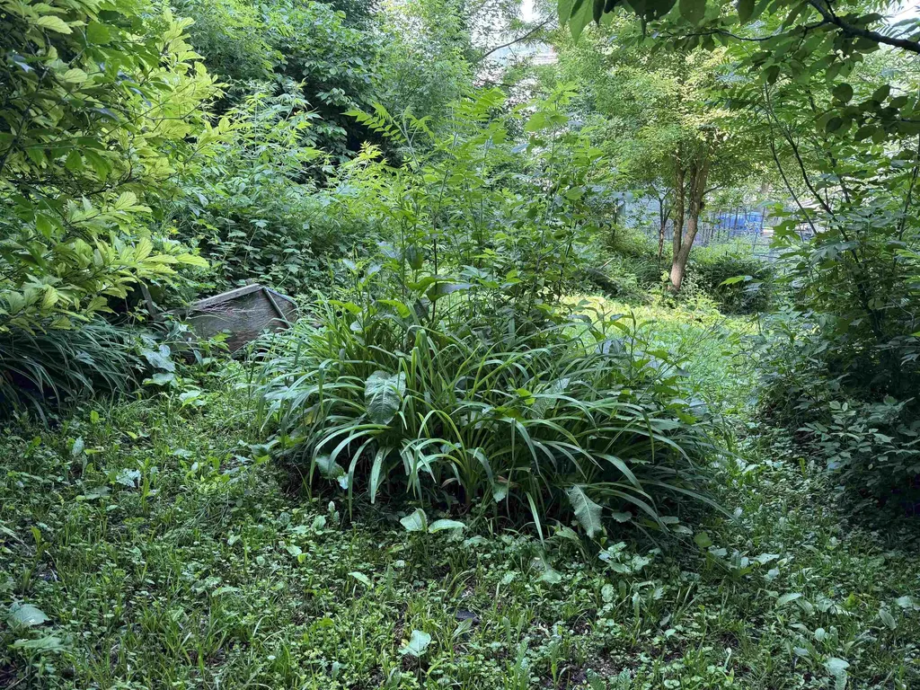 53 High Street Middlebury VT 05753