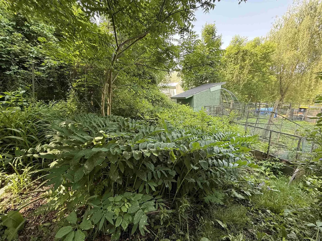 53 High Street Middlebury VT 05753