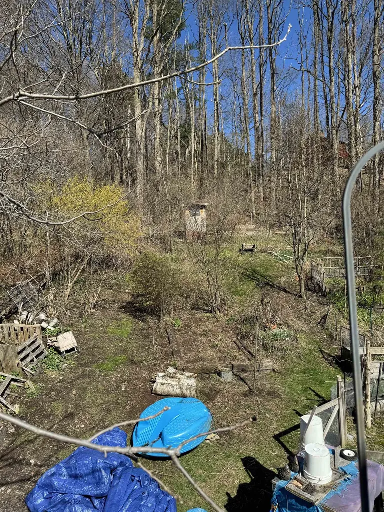 53 High Street Middlebury VT 05753