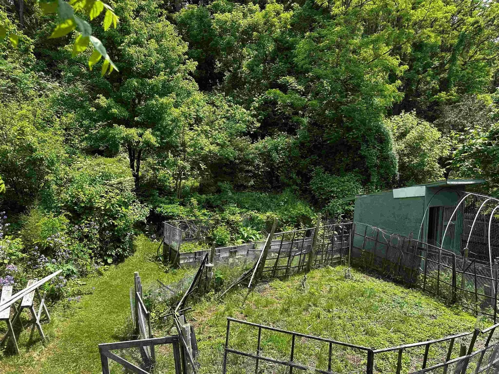 53 High Street Middlebury VT 05753