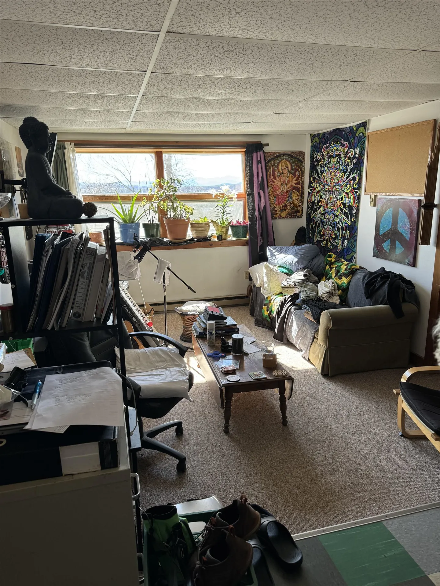 53 High Street Middlebury VT 05753