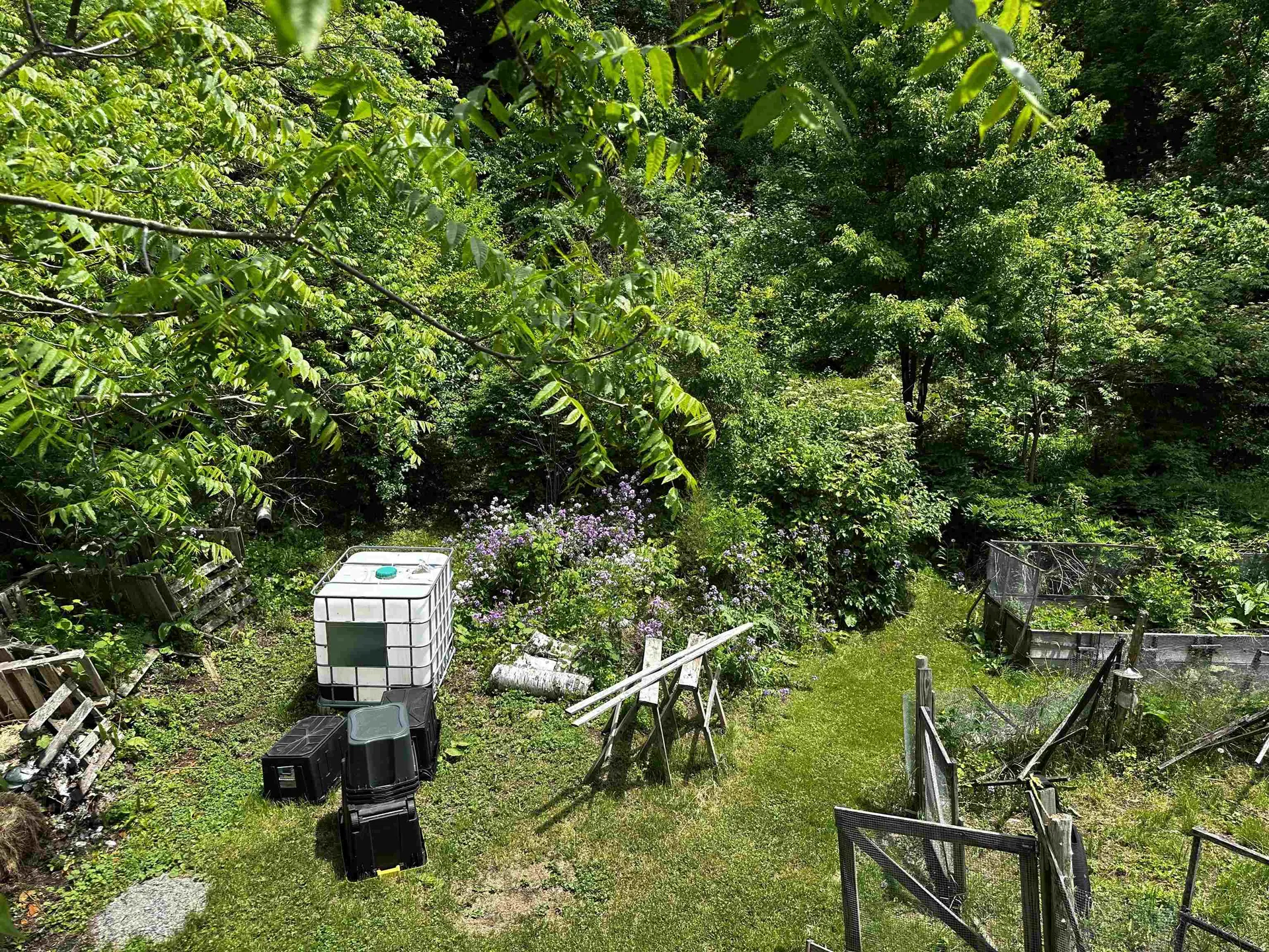 53 High Street Middlebury VT 05753