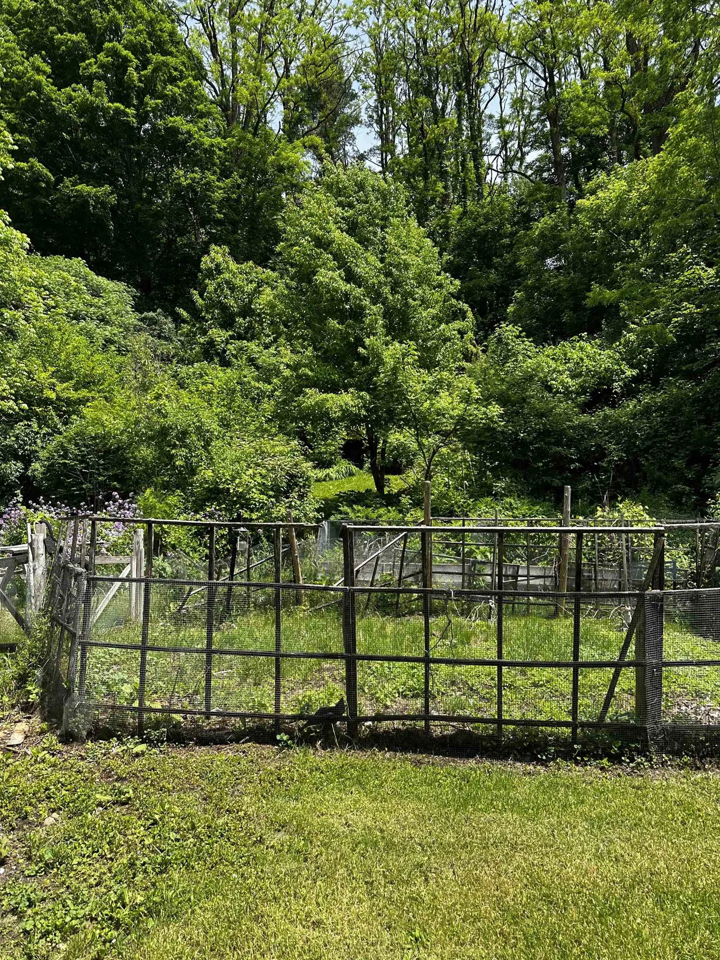 53 High Street Middlebury VT 05753