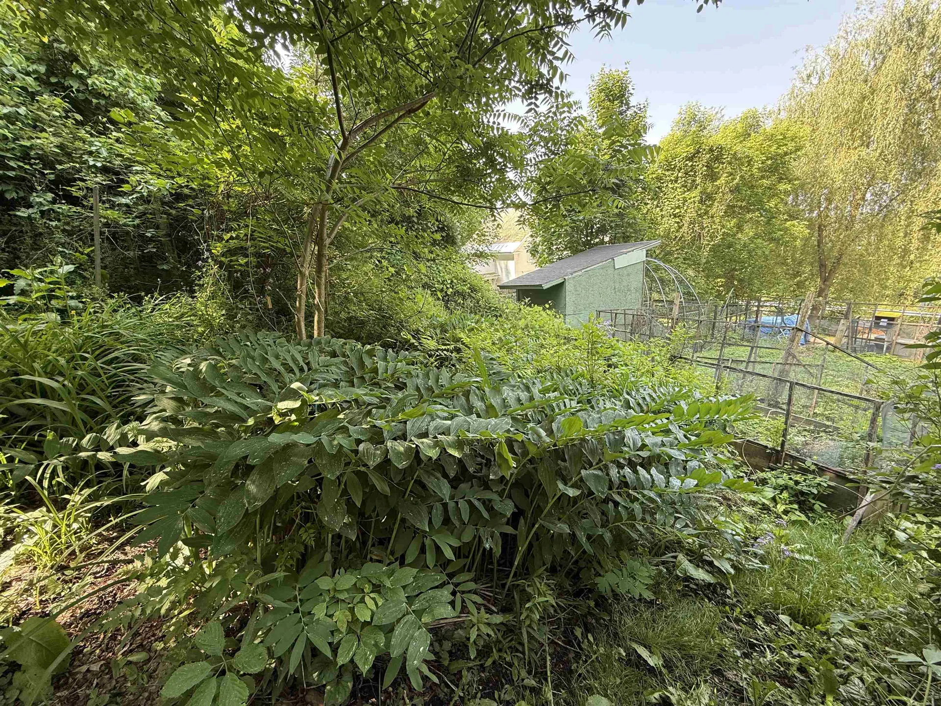 53 High Street Middlebury VT 05753