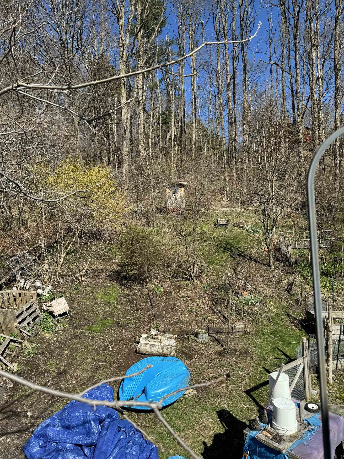 53 High Street Middlebury VT 05753