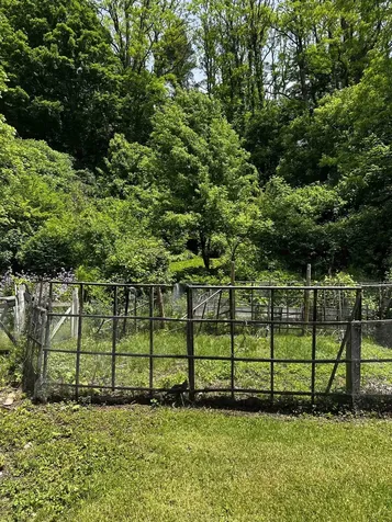 53 High Street Middlebury VT 05753