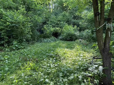 53 High Street Middlebury VT 05753