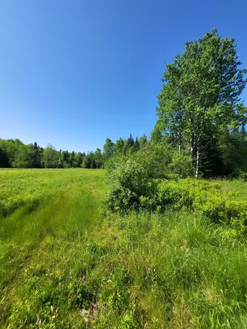 218.24 Route 117 Sugar Hill NH 03586