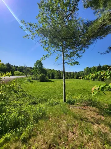 218.24 Route 117 Sugar Hill NH 03586