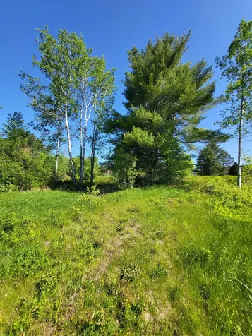 218.24 Route 117 Sugar Hill NH 03586