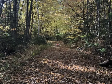 1511 West Hill Road Lincoln VT 05443