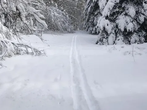 1511 West Hill Road Lincoln VT 05443