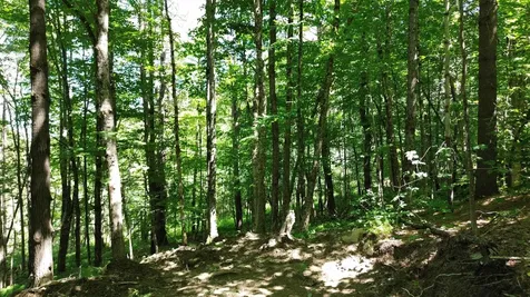 Lot 1-3 Hill Street Montpelier VT 05601
