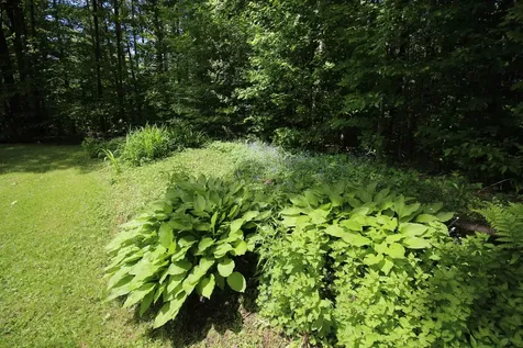 241 North Road Barnard VT 05031