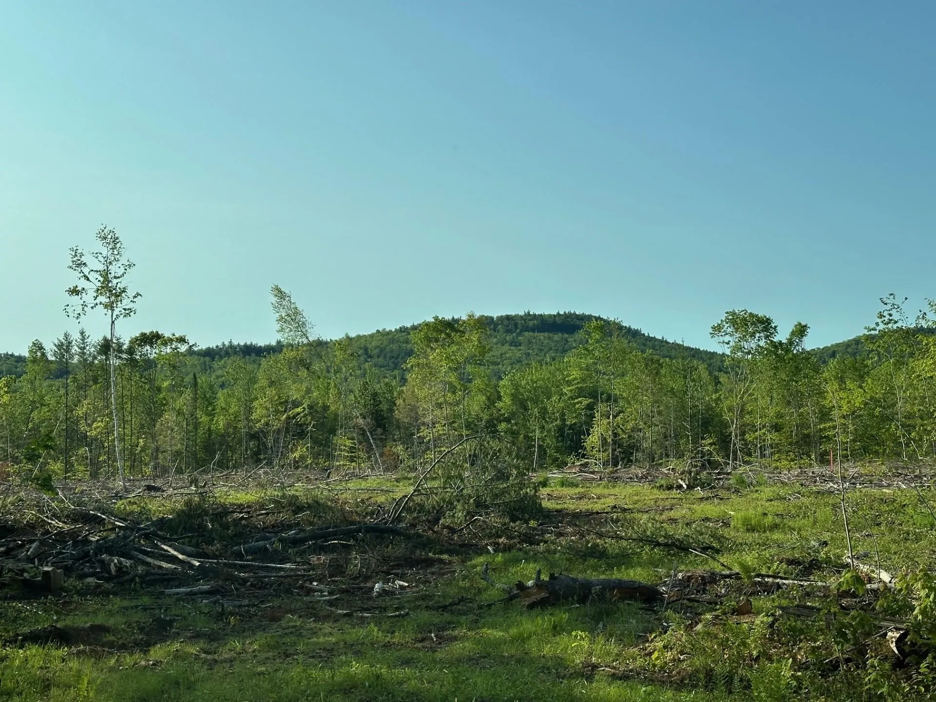 00 Thurley Road Ossipee NH 03814