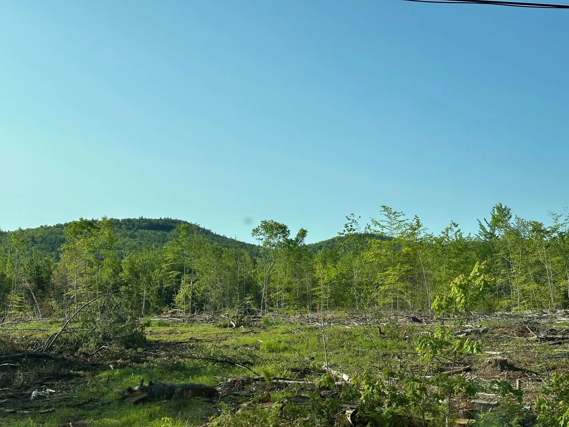 00 Thurley Road Ossipee NH 03814