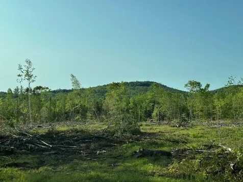 00 Thurley Road Ossipee NH 03814