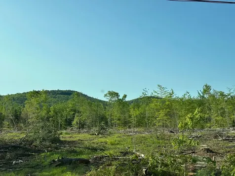 00 Thurley Road Ossipee NH 03814