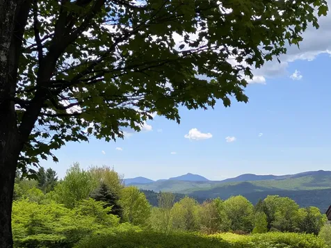 356 Weeks Hill Meadows Stowe VT 05672