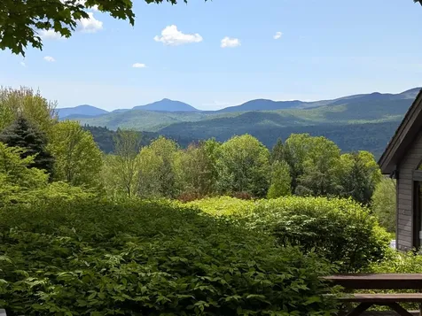 356 Weeks Hill Meadows Stowe VT 05672