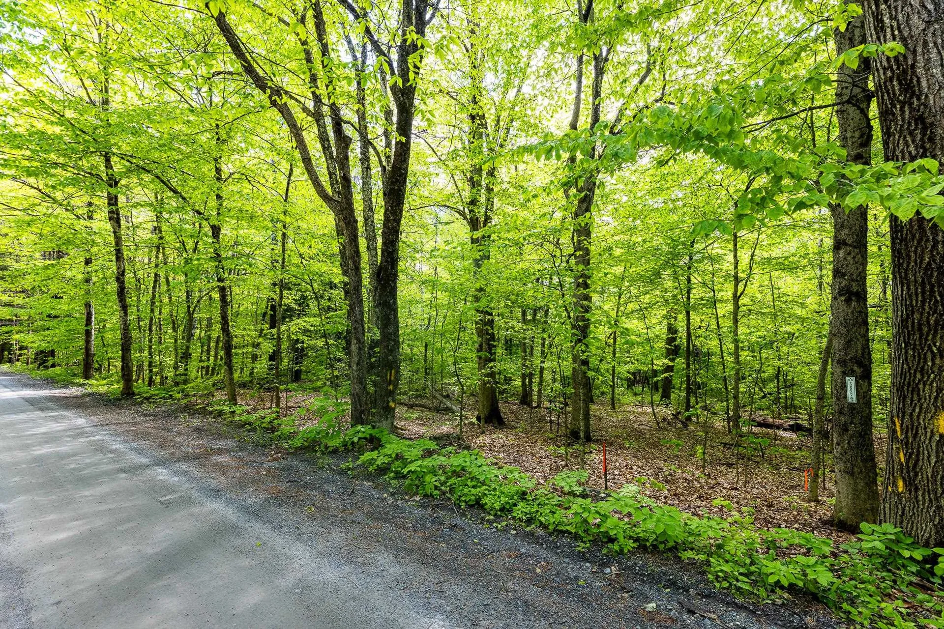 44 Three Mile Road Hanover NH 03755