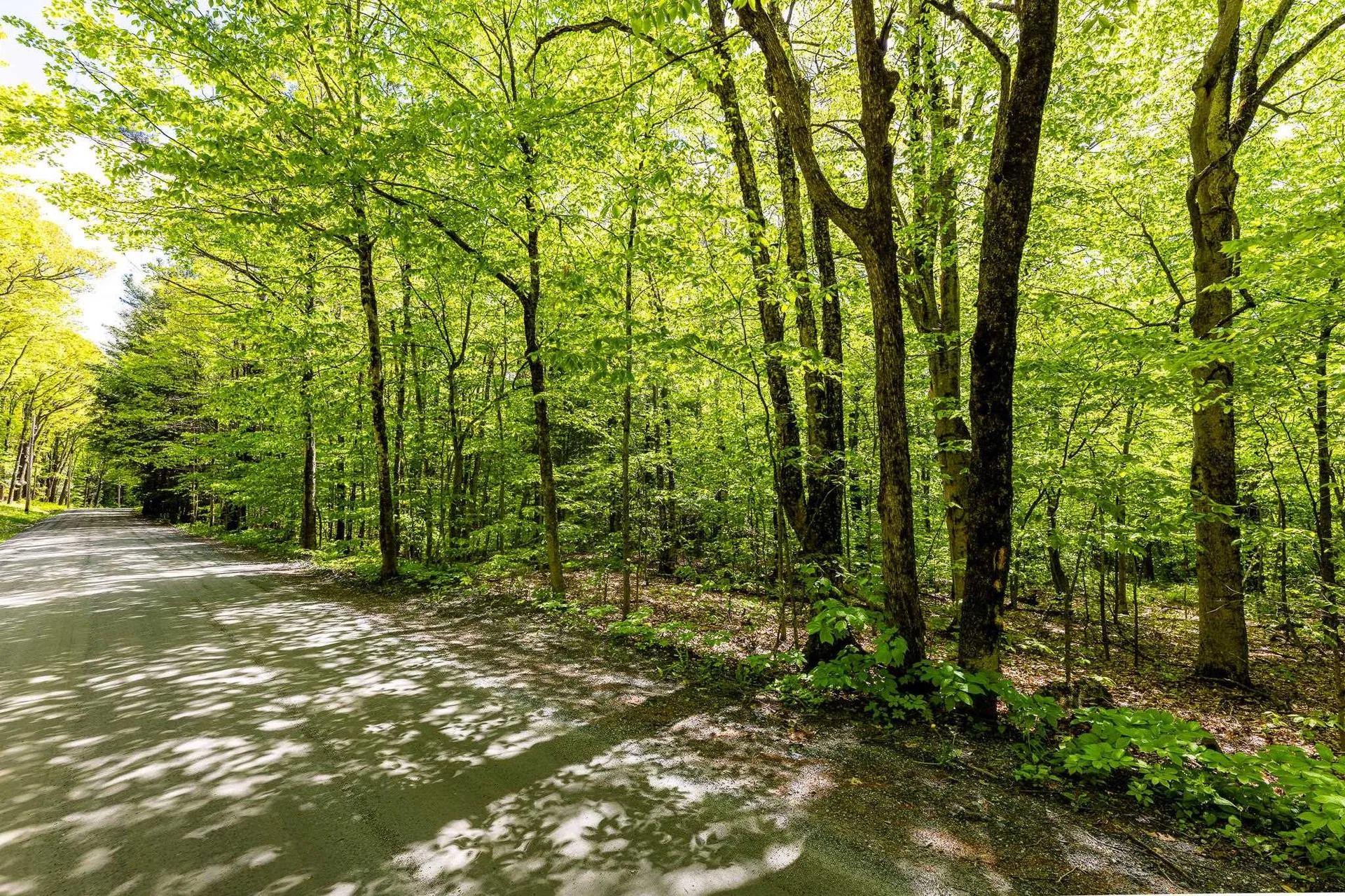 44 Three Mile Road Hanover NH 03755