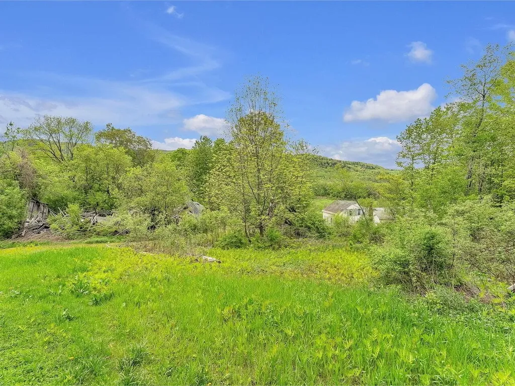 3567 River Road Duxbury VT 05676