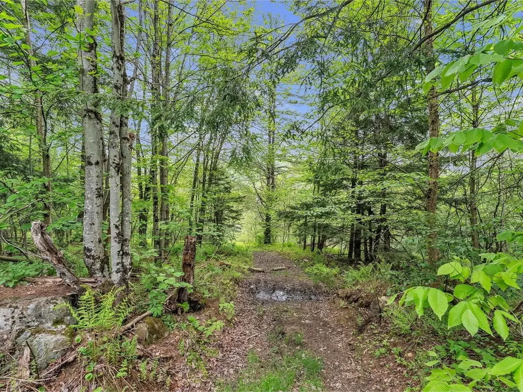 3567 River Road Duxbury VT 05676