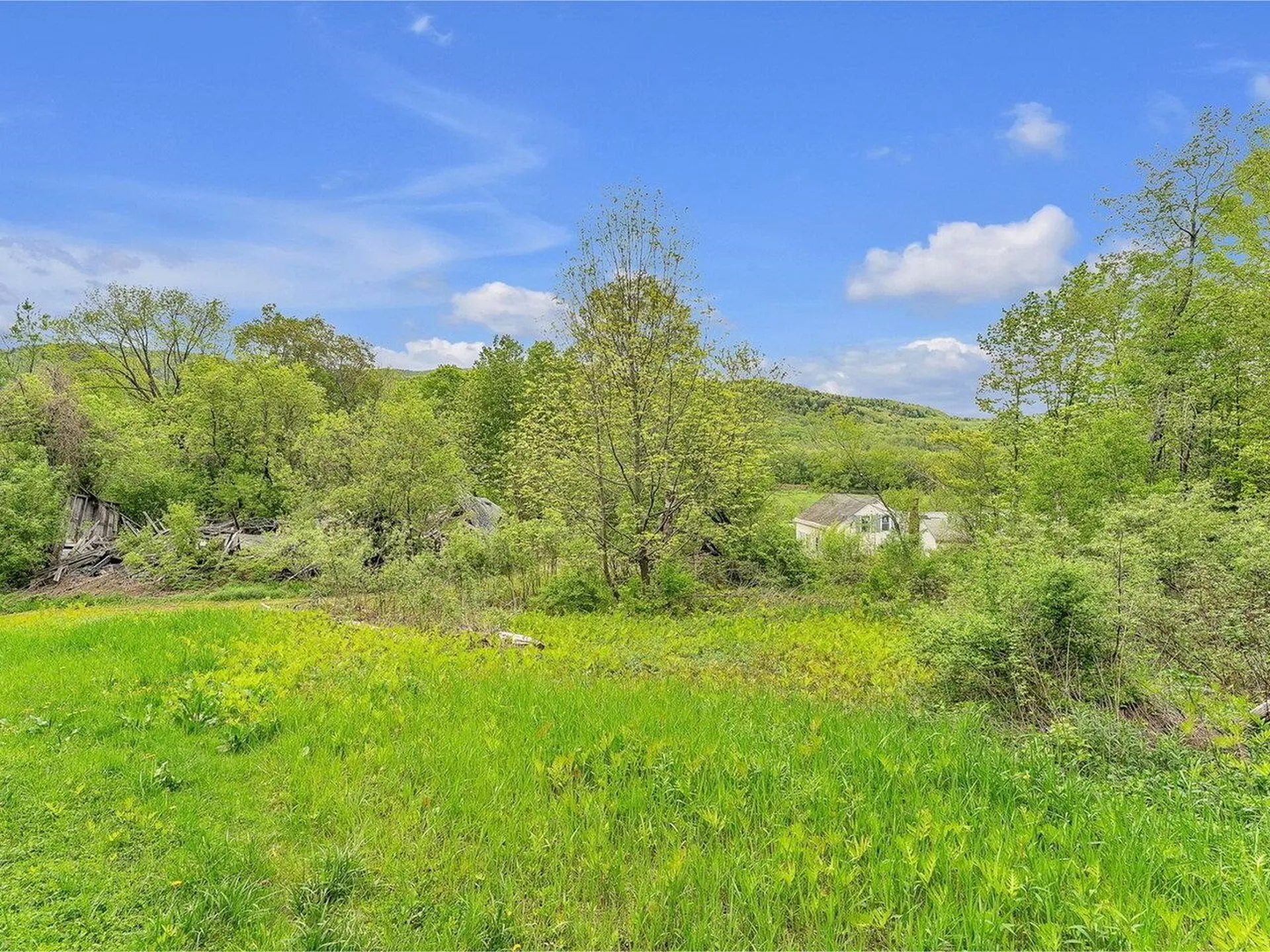 3567 River Road Duxbury VT 05676