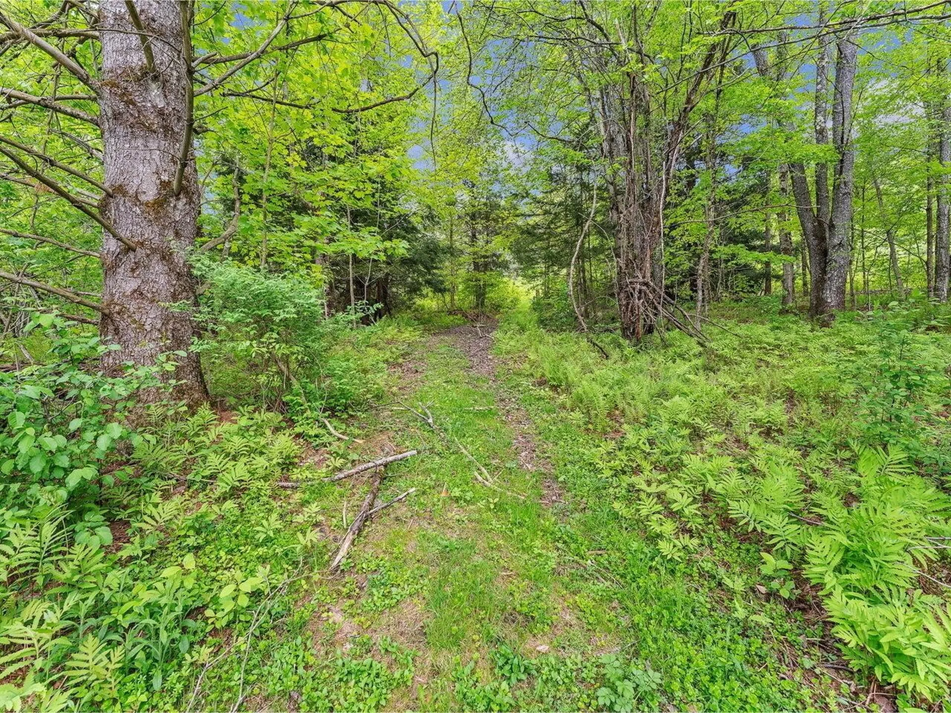 3567 River Road Duxbury VT 05676