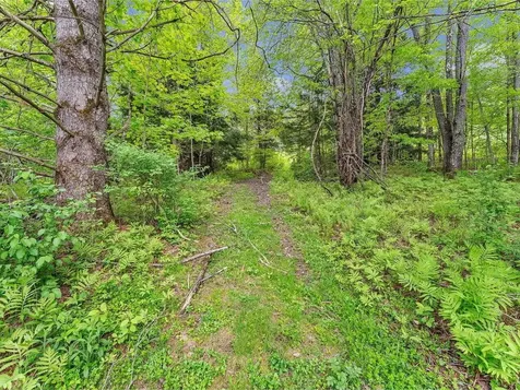 3567 River Road Duxbury VT 05676