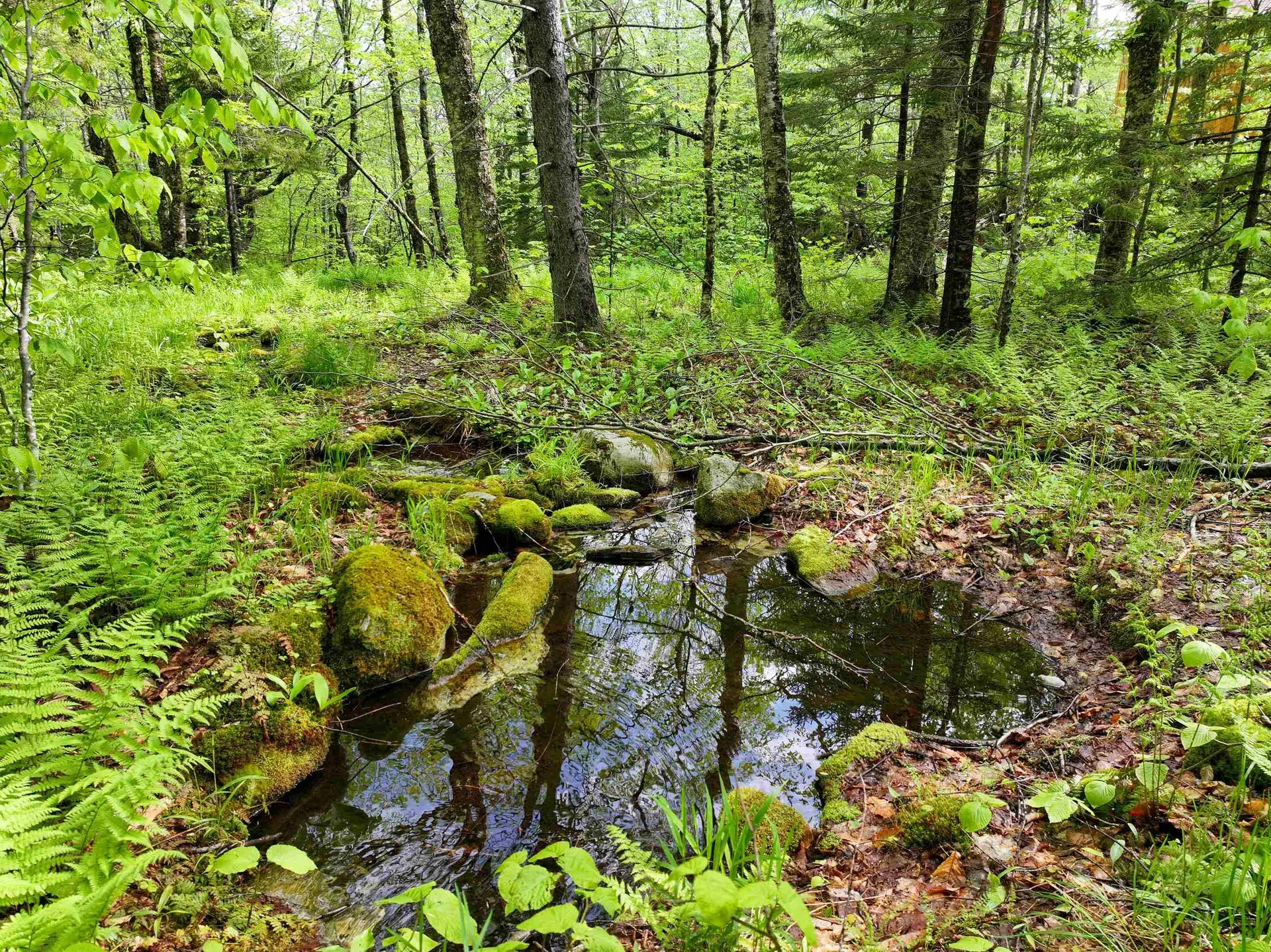 564 Eagles Nest Road Ripton VT 05766
