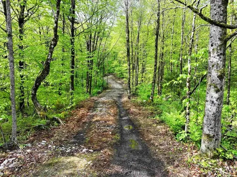 564 Eagles Nest Road Ripton VT 05766