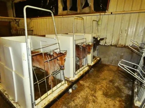 3604 Vt Route 111 Morgan VT 05853-9739