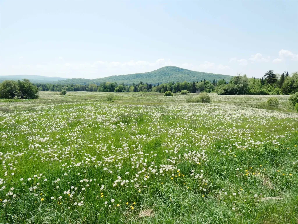 4495 Vt Route 111 Morgan VT 05853-9769