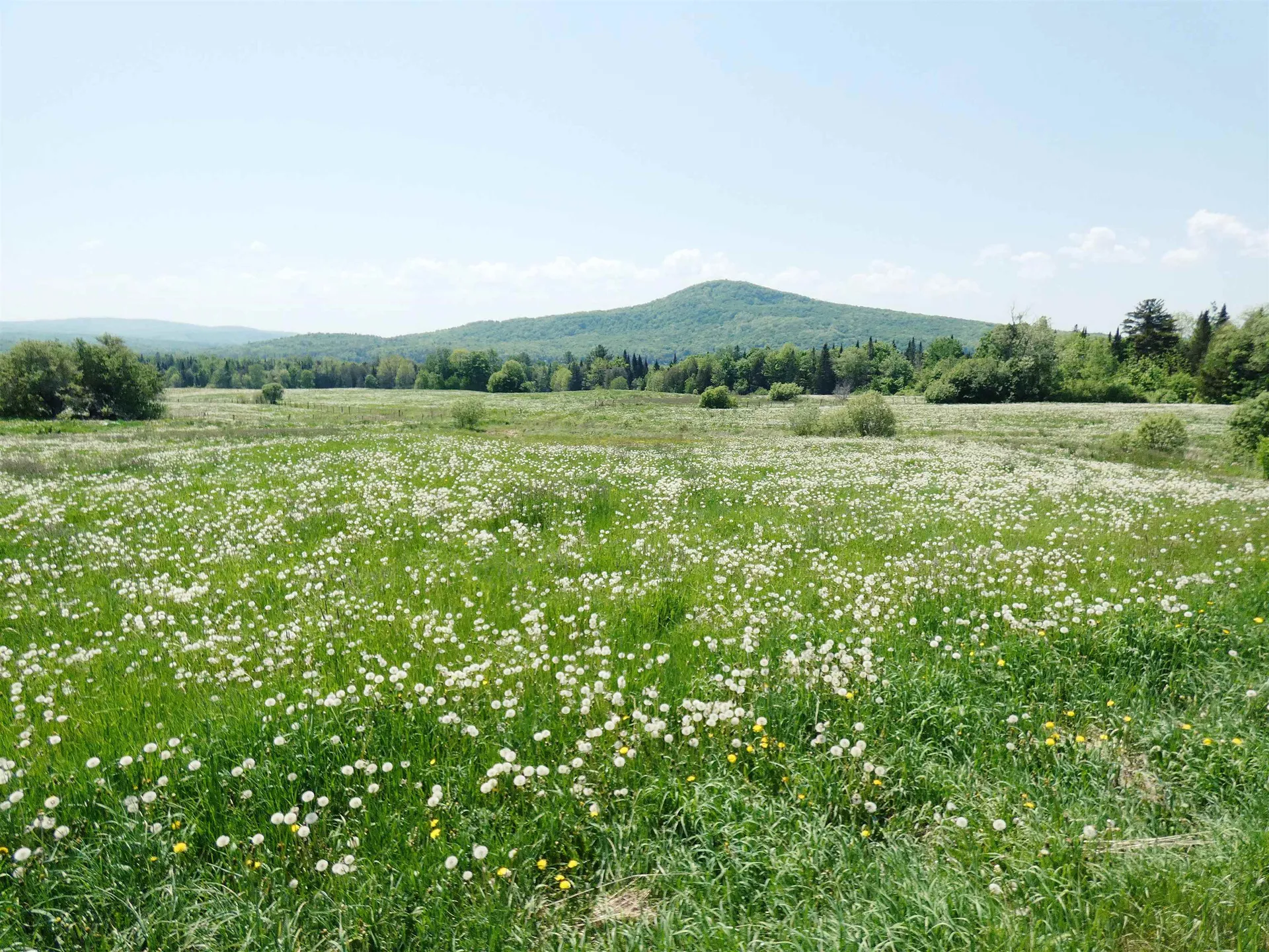 4495 Vt Route 111 Morgan VT 05853-9769