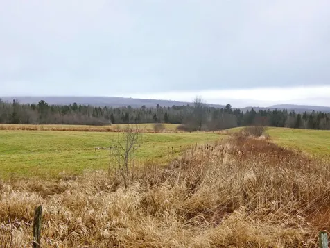 4495 Vt Route 111 Morgan VT 05853-9769