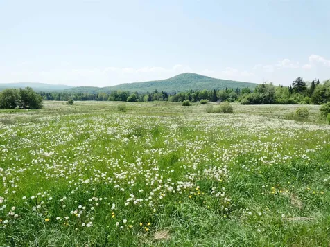 4495 Vt Route 111 Morgan VT 05853-9769