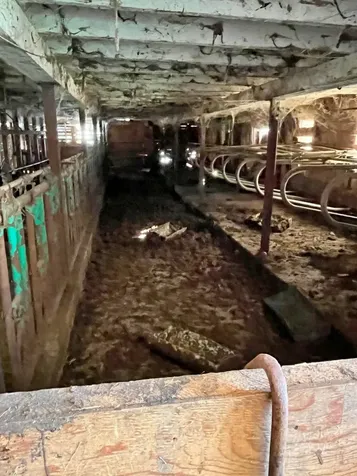 4495 Vt Route 111 Morgan VT 05853-9769