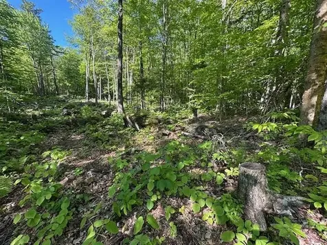 0 Tiogla Trail Stoddard NH 03464