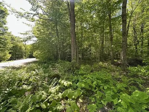 0 Tiogla Trail Stoddard NH 03464
