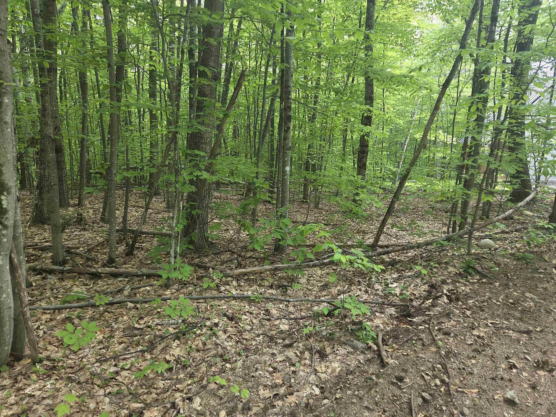 5 Panaway Drive Campton NH 03223