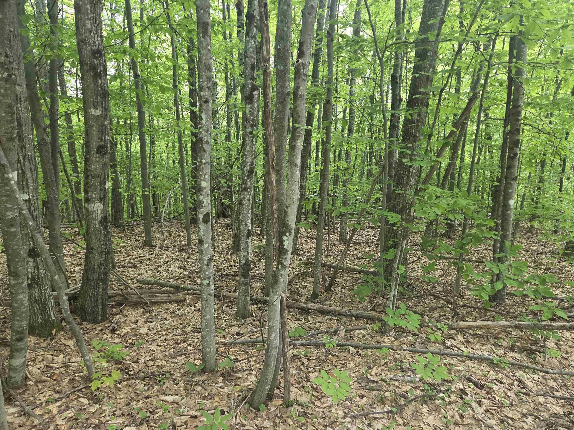 5 Panaway Drive Campton NH 03223